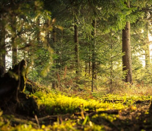 Los agricultores europeos lamentan la aprobación de la ley de restauración de la naturaleza