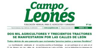 Campo leonés febrero 2024