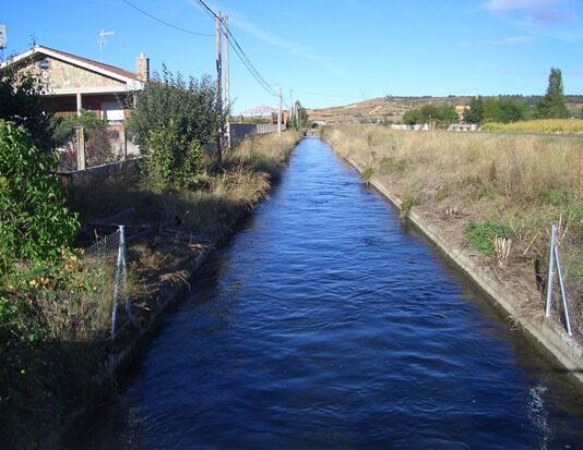 Las seis noticias agrarias de la semana – 01/03/2024