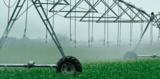 El campo leonés ha pedido ayudas para invertir 45.5 millones de euros, la mayoría para modernizar el regadío