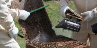 El Gobierno atiende la mayoría de las peticiones de Asaja de León en la revisión anual de los módulos fiscales de la agricultura y ganadería