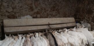 Las seis noticias agrarias de la semana – 31/05/2024