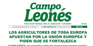 Campo leonés mayo 2024