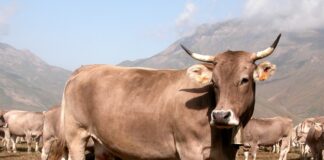 Las seis noticias agrarias de la semana – 10/05/2024