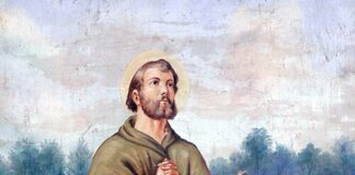 Festividad San Isidro Labrador