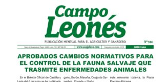 Campo leonés junio 2024
