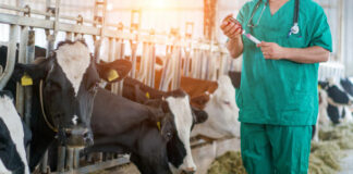 Las seis noticias agrarias de la semana – 28/06/2024