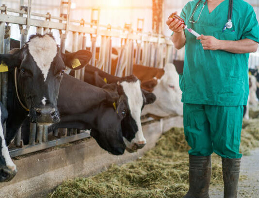 Las seis noticias agrarias de la semana – 28/06/2024