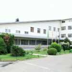 Estudiantes que trabajan