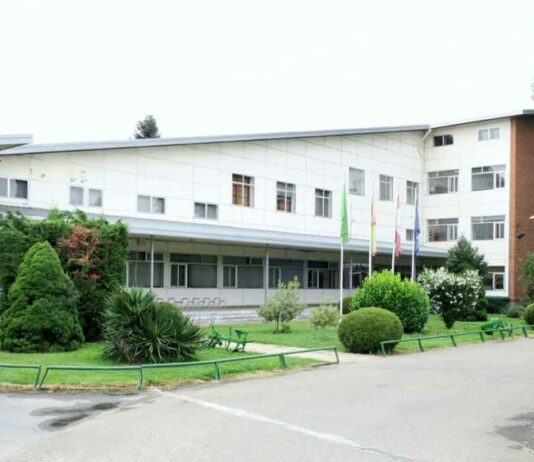 Estudiantes que trabajan