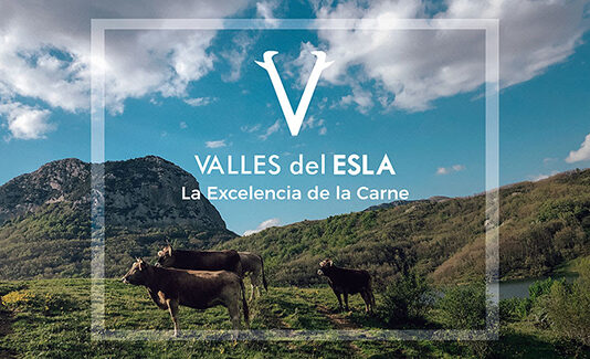 ASAJA valora positivamente la compra de «Valles del Esla» por la vallisoletana «Grupo Miguel Vergara»