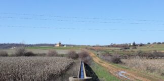 Las seis noticias agrarias de la semana – 30/08/2024