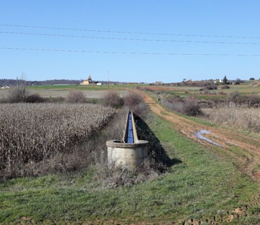 Las seis noticias agrarias de la semana – 30/08/2024