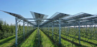 Las seis noticias agrarias de la semana – 09/08/2024