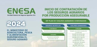 El fraude del seguro