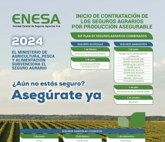 El fraude del seguro