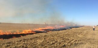 ASAJA insiste en que se autoricen quemas controladas de rastrojos por razones fitosanitarias