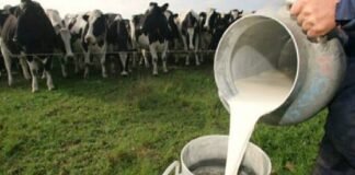 Se desconvoca el acto de protesta de los ganaderos de Babia y Omaña anunciado para hoy martes a las 12 del mediodía