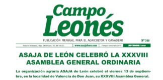 Campo leonés septiembre 2024