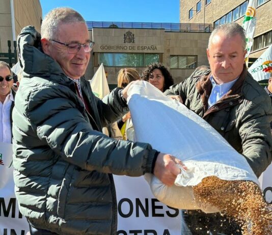 Los agricultores de Castilla y León reclaman soluciones urgentes que garanticen la continuidad de las explotaciones cerealistas