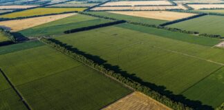 Las seis noticias agrarias de la semana – 28/02/2025