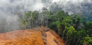 Las seis noticias agrarias de la semana – 08/11/2024