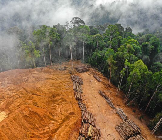 Las seis noticias agrarias de la semana – 08/11/2024