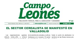 Campo leonés octubre 2024