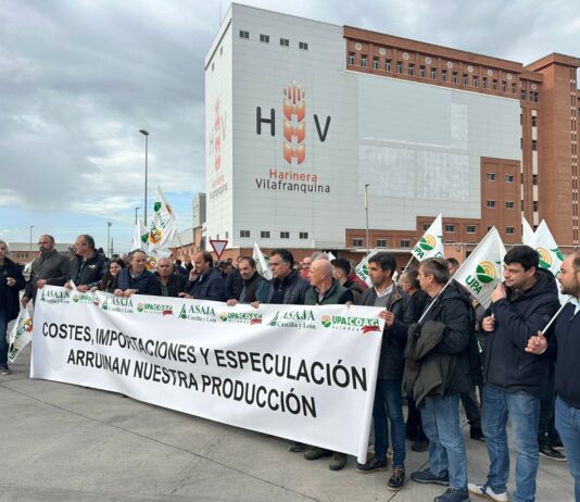 Los agricultores de Castilla y León se manifiestan en Arévalo y anuncian que seguirán en la calle