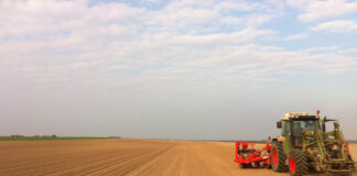 Las seis noticias agrarias de la semana – 29/11/2024