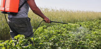 Carné de fitosanitarios