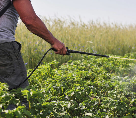 Carné de fitosanitarios