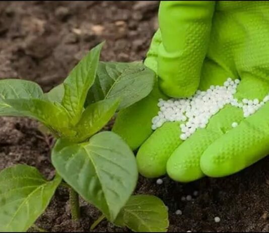 La paradoja de la Comisión: las sanciones a los fertilizantes amenazan a la agricultura europea en medio de una estrategia de competitividad