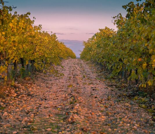 Las seis noticias agrarias de la semana – 28/03/2025