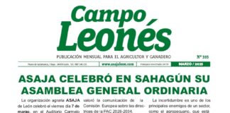 Campo leonés marzo – 2025