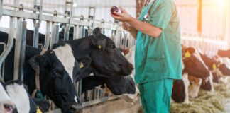 ASAJA defiende la profesionalidad de los veterinarios de las ganaderías y pide que puedan dispensar los tratamientos que consideren oportunos