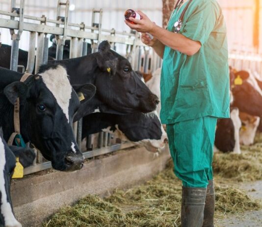 ASAJA defiende la profesionalidad de los veterinarios de las ganaderías y pide que puedan dispensar los tratamientos que consideren oportunos
