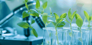 Nuevas técnicas genómicas: el Consejo acuerda el mandato de negociación