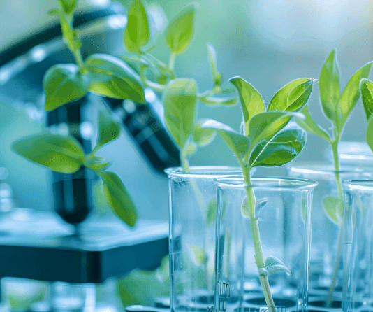 Nuevas técnicas genómicas: el Consejo acuerda el mandato de negociación