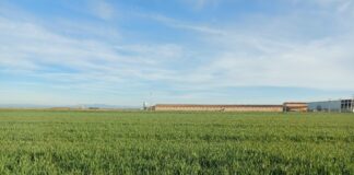 Plazos seguros agrarios de distintos cultivos