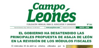 Campo leonés mayo – 2025