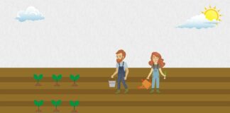 Convocadas las ayudas para Titularidades Compartidas de Explotaciones Agrarias