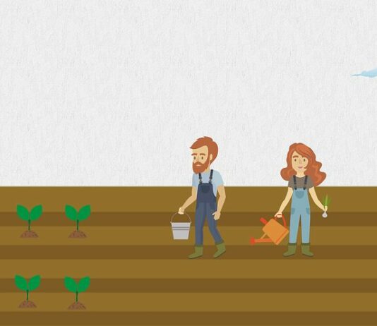 Convocadas las ayudas para Titularidades Compartidas de Explotaciones Agrarias