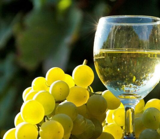 Las seis noticias agrarias de la semana – 16/05/2025