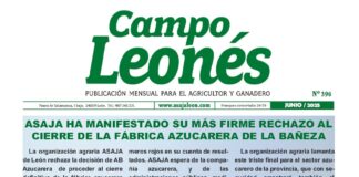 Campo leonés junio – 2025