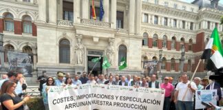 El campo exige al Gobierno salvar al cereal español: costes disparados, precios hundidos y competencia desleal