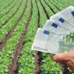 Cuentas de la agricultura