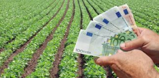 Cuentas de la agricultura