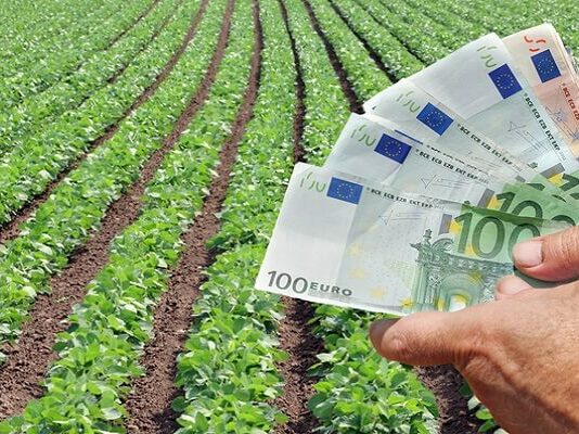 Cuentas de la agricultura