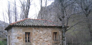 Las seis noticias agrarias de la semana – 11/07/2025